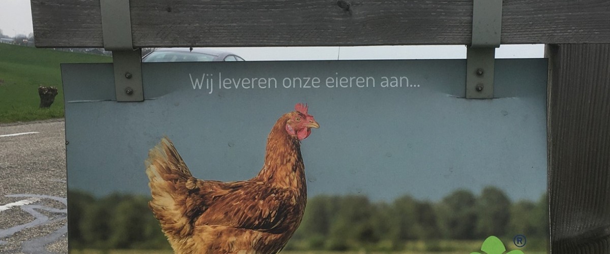 bord-1180.jpg